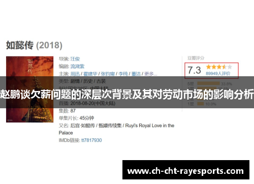 赵鹏谈欠薪问题的深层次背景及其对劳动市场的影响分析