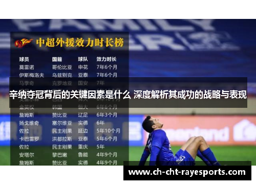 辛纳夺冠背后的关键因素是什么 深度解析其成功的战略与表现